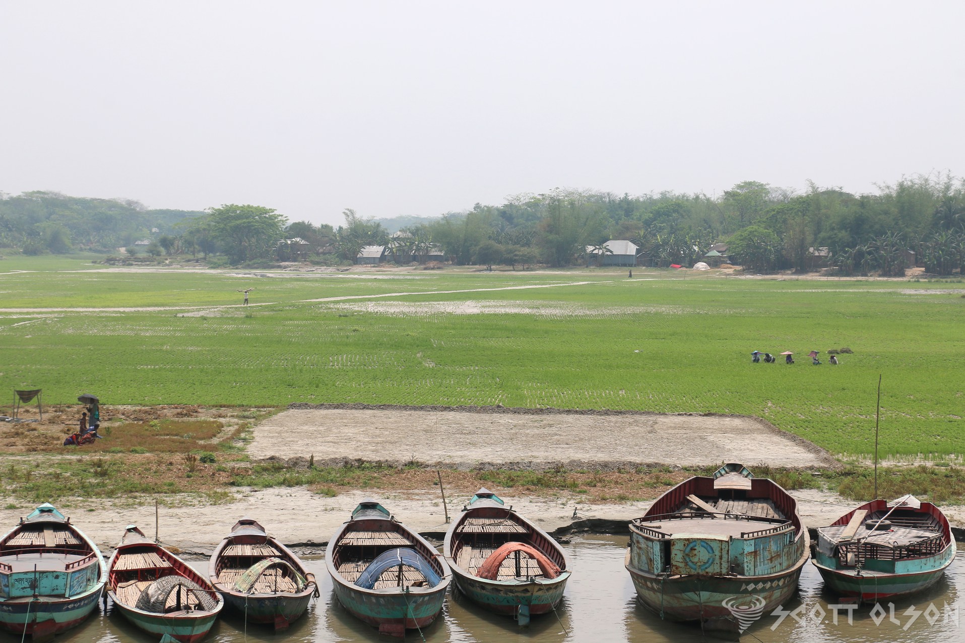 boats-bangladesh-field
