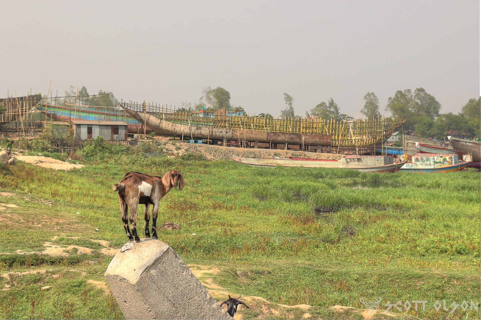 goat-ship-building-bangladesh