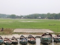 boats-bangladesh-field